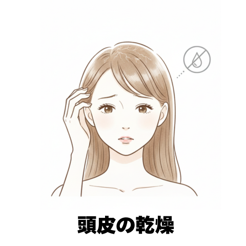 1.頭皮の乾燥